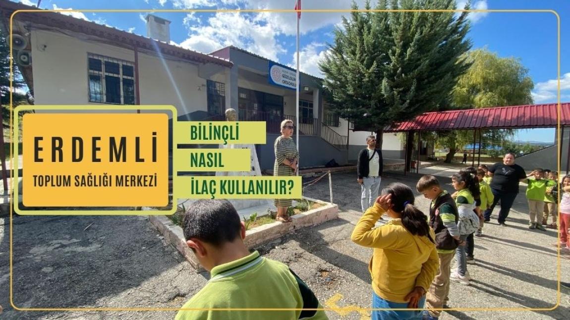 Bilinçli İlaç Kullanımı